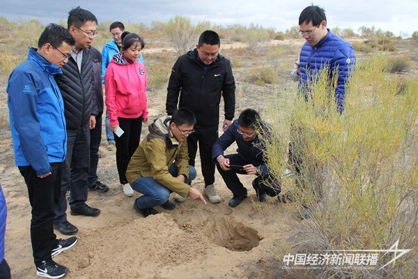 “博士服务团”在阿左旗开展“生态优先绿色发展”专题调研.JPG