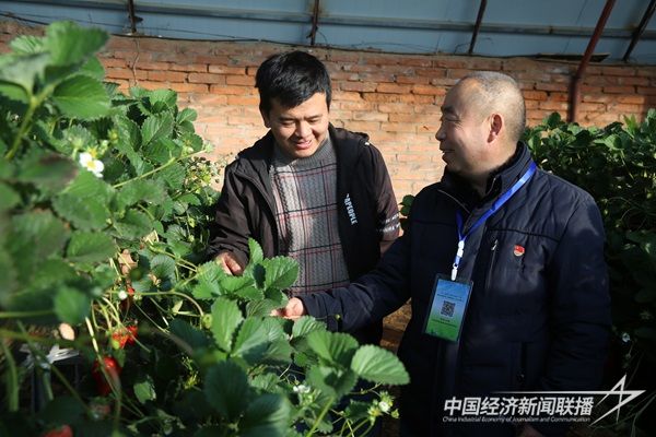 阿拉善盟阿左旗农牧技术专家到种植户家中进行技术指导 .JPG