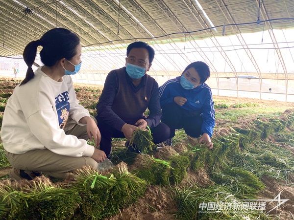 4ecb432021e211c0983a6c6bef4e1c8.jpg?v=1703824690