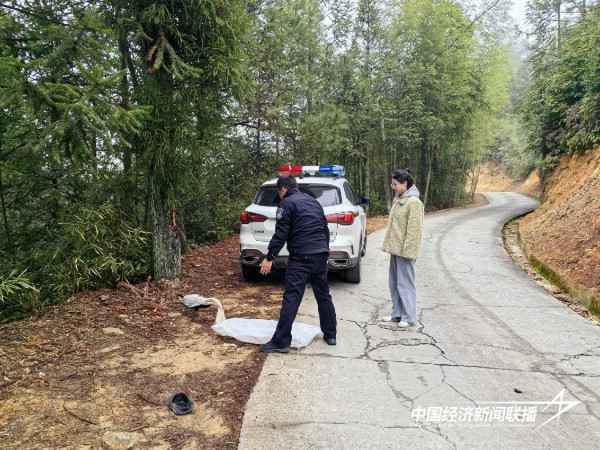 图片2_new (1).jpeg?x-oss-process=style/water