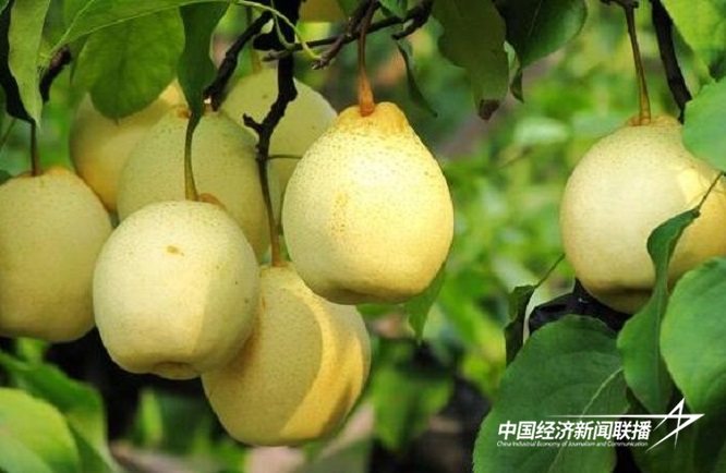 1.jpg?x-oss-process=style/water