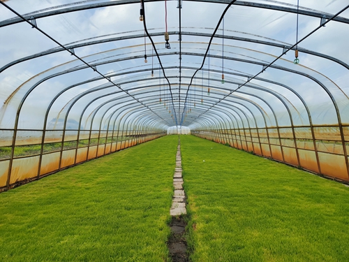 3e77175bdd227c827e4a72d55d369c4.jpg?x-oss-process=style/water