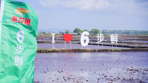 e6fa716b745ba09daeccf575a123cd1.jpg?x-oss-process=style/water