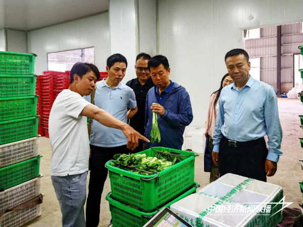 20240524彭阳6_new (1).jpeg?x-oss-process=style/water