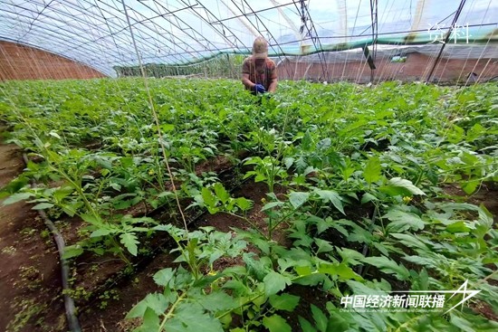 微信图片_20230804162307 (2).jpg?x-oss-process=style/water