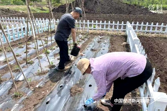 别勒娲小菜园.jpg?x-oss-process=style/water