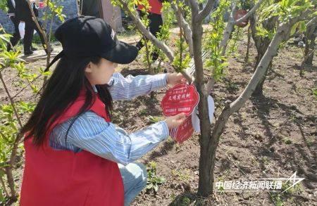 12.jpg?x-oss-process=style/water