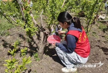 13.jpg?x-oss-process=style/water