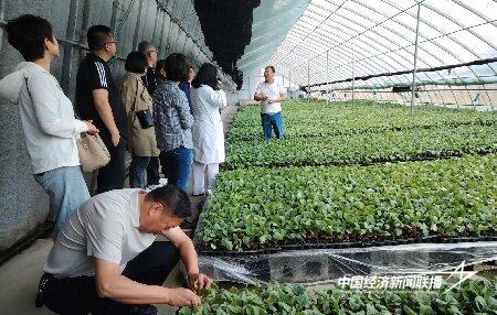 陈畅云沣11_proc.jpg?x-oss-process=style/water