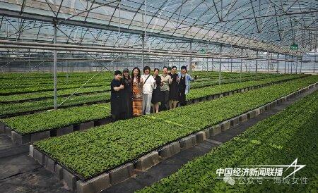 陈畅云沣3_proc.jpg?x-oss-process=style/water