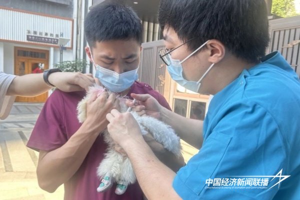 20240611城管2.jpg?x-oss-process=style/water