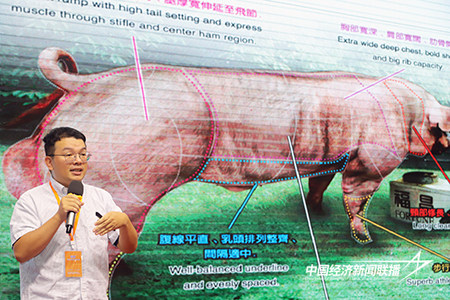 8.jpg?x-oss-process=style/water