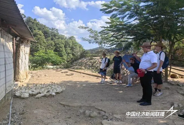 20240819金谷5 (1).jpg?x-oss-process=style/water