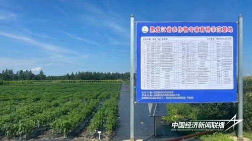 6835cd7621885cebc77341f43b0dca8.jpg?x-oss-process=style/water