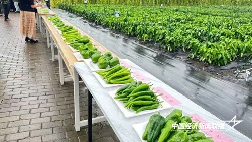 e77067282292f97da5720212f9b3956.jpg?x-oss-process=style/water