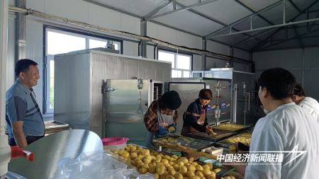 13.jpg?x-oss-process=style/water