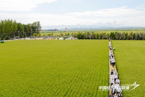 借条_00.jpg?x-oss-process=style/water