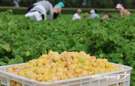 11.jpg?x-oss-process=style/water