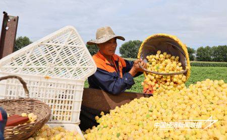 12.jpg?x-oss-process=style/water