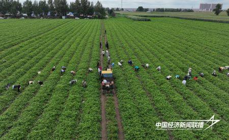 13.jpg?x-oss-process=style/water