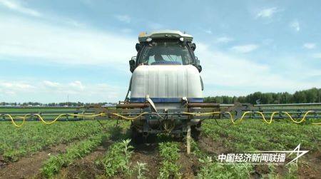 11.jpg?x-oss-process=style/water