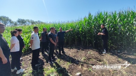 12.jpg?x-oss-process=style/water