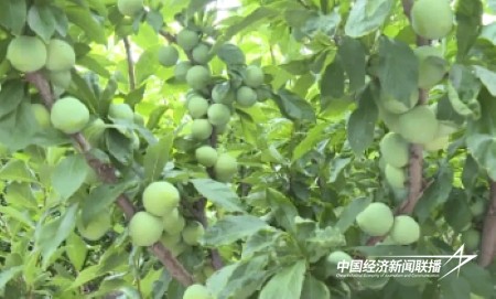 11.jpg?x-oss-process=style/water