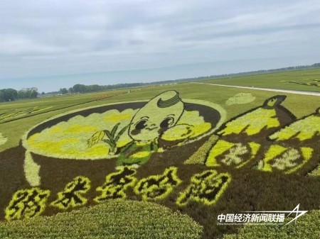 13.jpg?x-oss-process=style/water