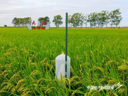 11.jpg?x-oss-process=style/water