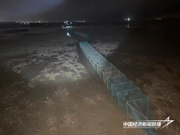 20240828  厦门市海洋与渔业综合执法支队文昌鱼保护2.jpg?x-oss-process=style/water