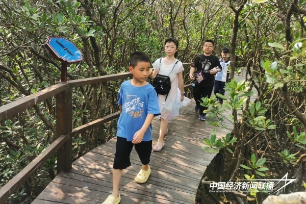 20240902 云霄供电:大手拉小手 共筑绿色家园1.jpg?x-oss-process=style/water