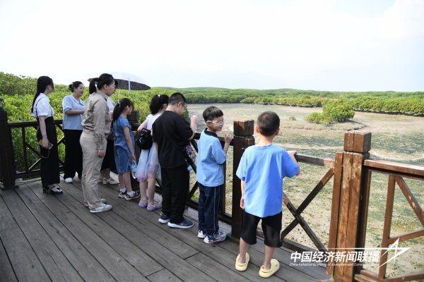 20240902 云霄供电:大手拉小手 共筑绿色家园3.jpg?x-oss-process=style/water