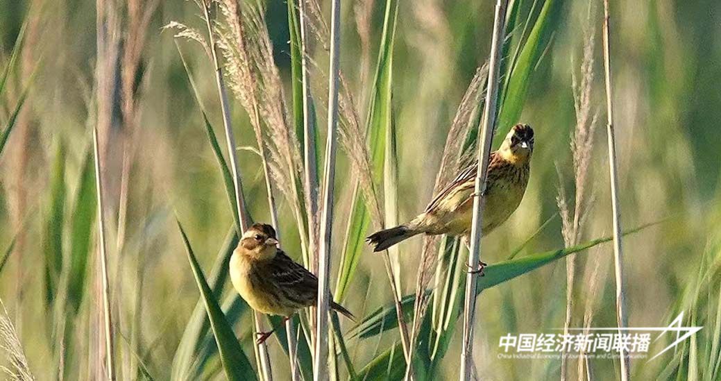 图片2.jpg?x-oss-process=style/water