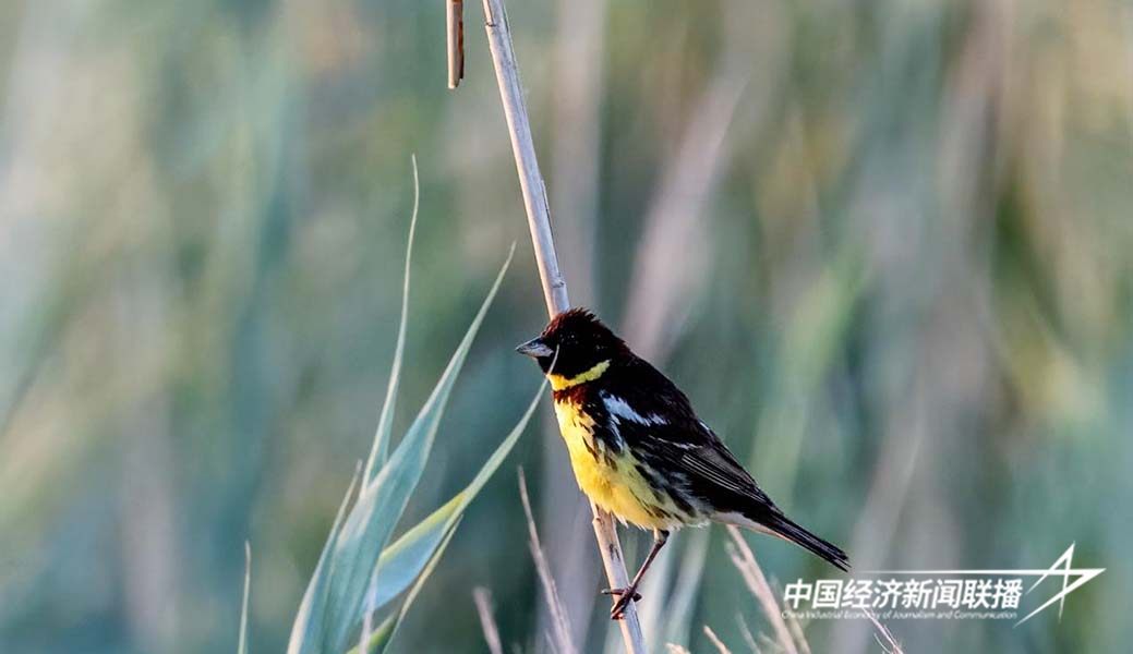 图片3.jpg?x-oss-process=style/water