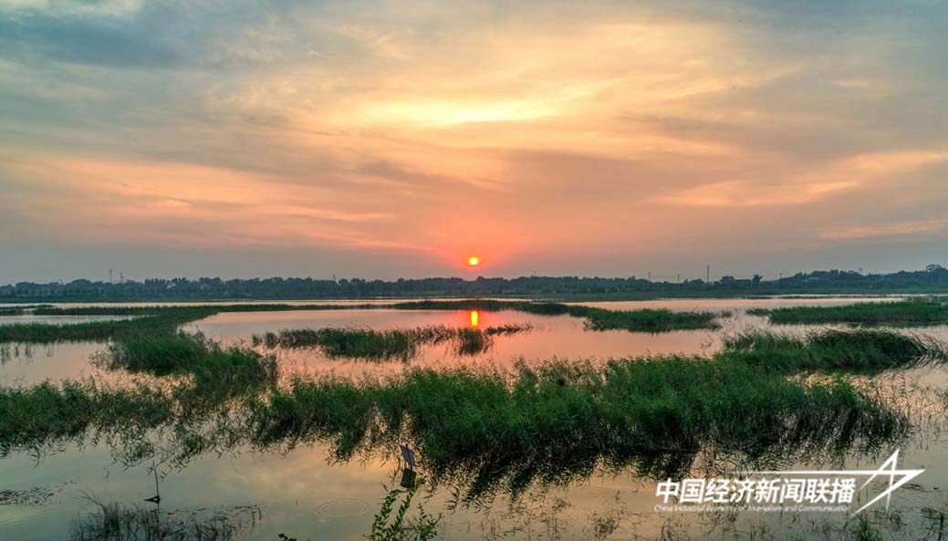 图片4.jpg?x-oss-process=style/water