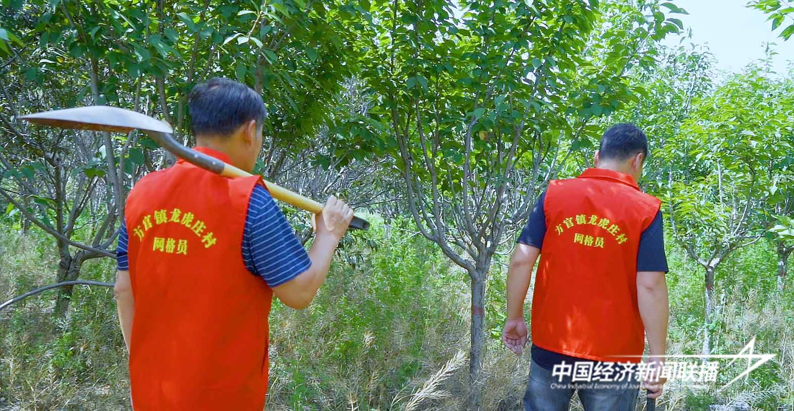 保定市坚持推进基层林长网格化管理巩固了造林成果.jpg?x-oss-process=style/water