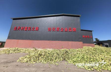 11.jpg?x-oss-process=style/water