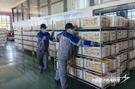 13.jpg?x-oss-process=style/water