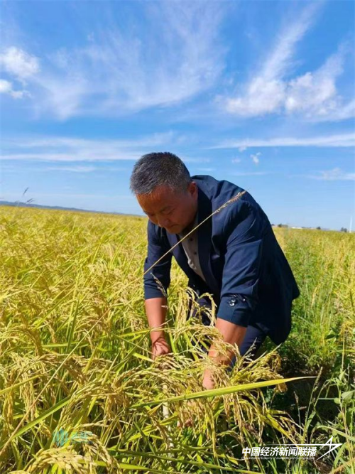 1.png?x-oss-process=style/water