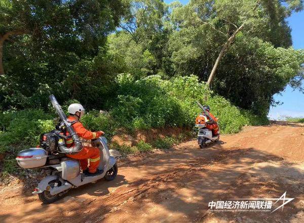 2024099厦门森防7 (1).jpg?x-oss-process=style/water