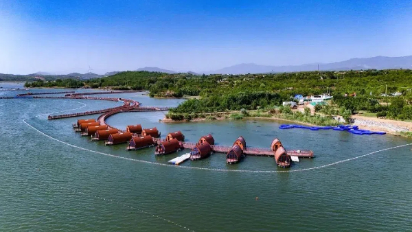 20240910泉州3 (1).jpg