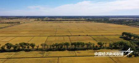 11.jpg?x-oss-process=style/water