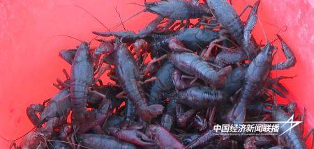 12.jpg?x-oss-process=style/water