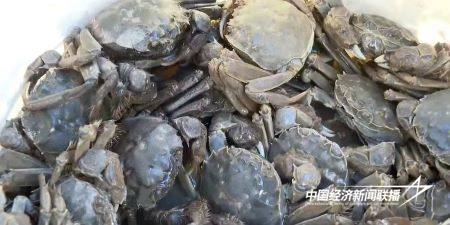 13.jpg?x-oss-process=style/water