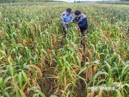 12.jpg?x-oss-process=style/water