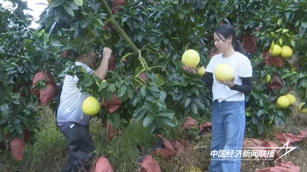 20240920上杭6 (1).jpg?x-oss-process=style/water