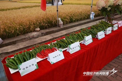 4b64331a36ff7bef1a64d5795115e3f.jpg?x-oss-process=style/water