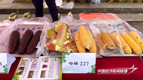 f7c34c287f8bfe76c792af560328435.png?x-oss-process=style/water