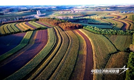 15.jpg?x-oss-process=style/water