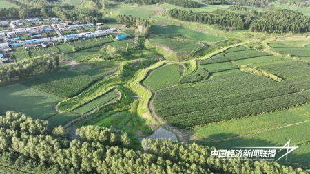 16.jpg?x-oss-process=style/water